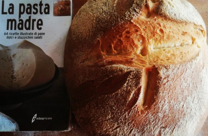 Il pane tutta semola con pasta madre