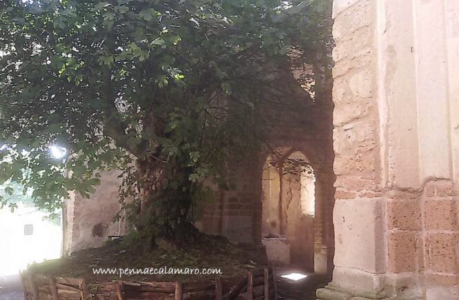 Antica Monterano, borgo fantasma alle porte di Roma